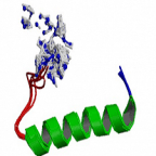 Global Bone Density Conservation Agents Market 2019 Novartis, Pfizer, Fresenius Kabi, Omega, Actavis, Hospira, Teva